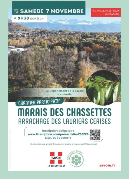Chantier participatif
